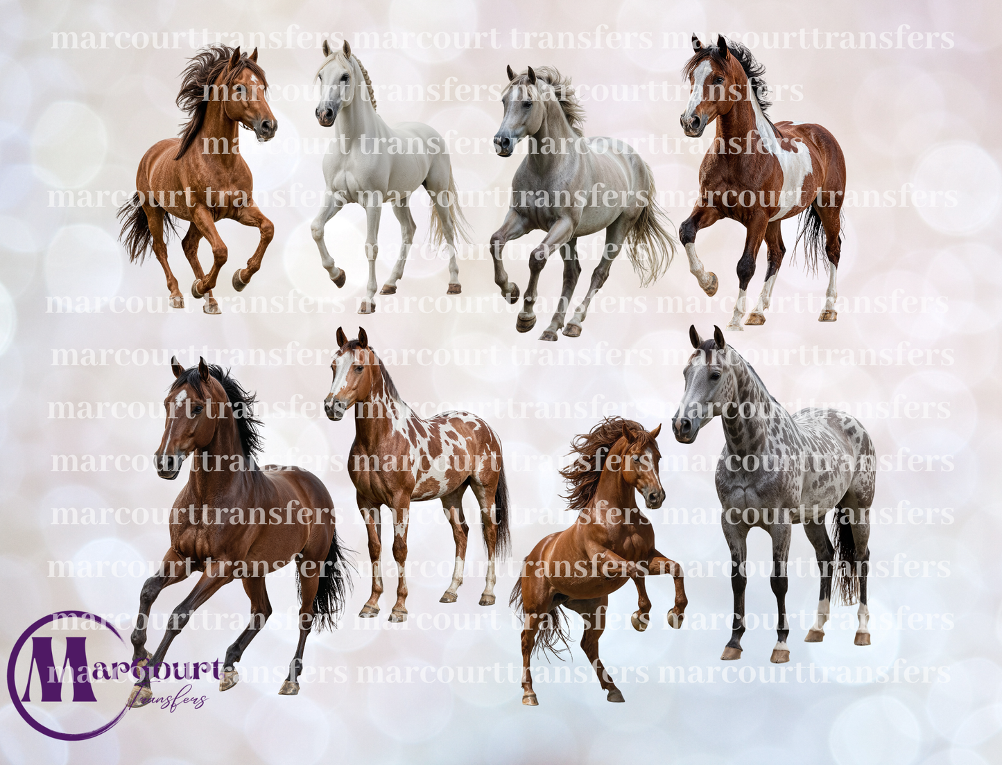 HORSES-ELEMENTS