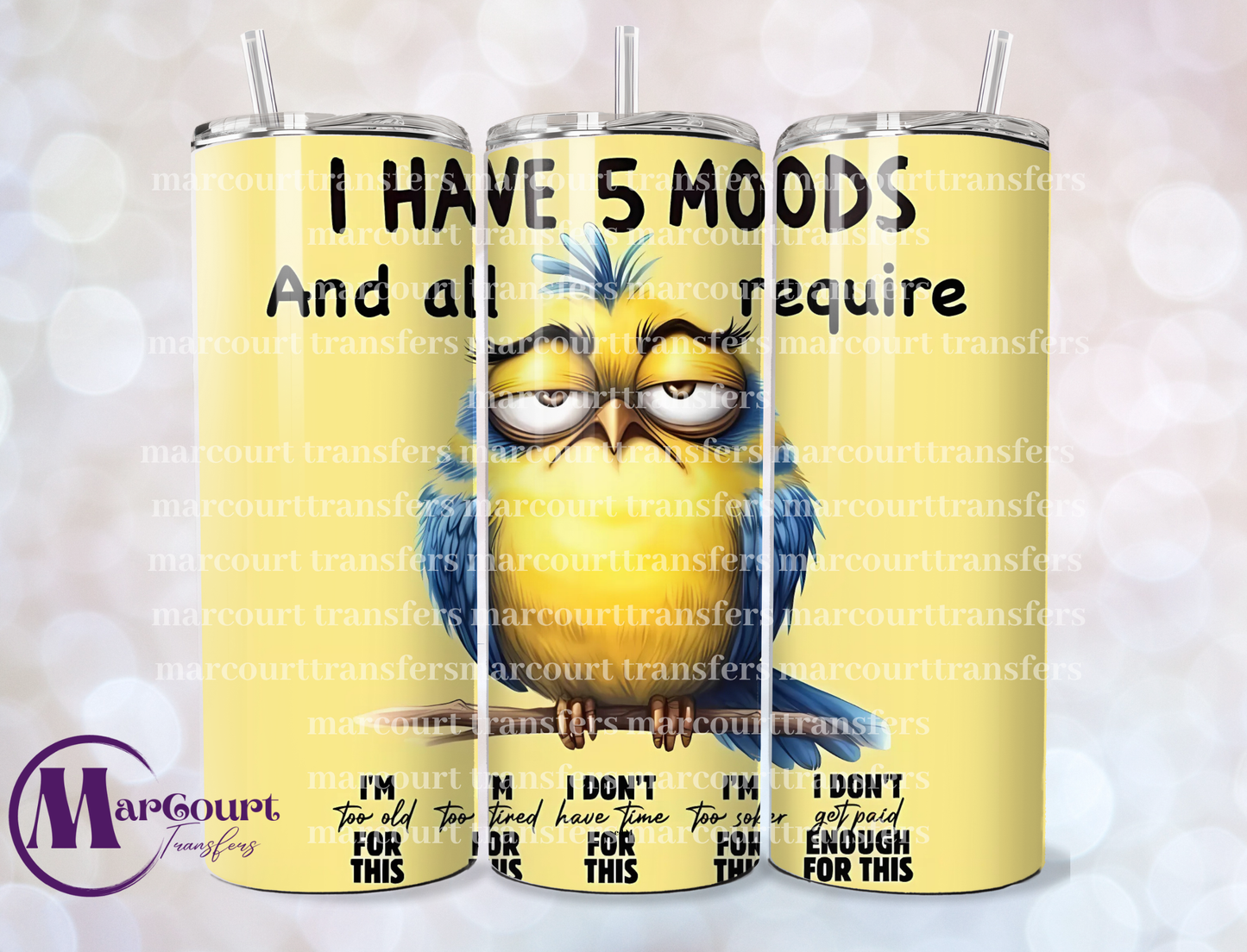 I HAVE 5 MOODS 20-SKINNY TUMBLER TRANSFER