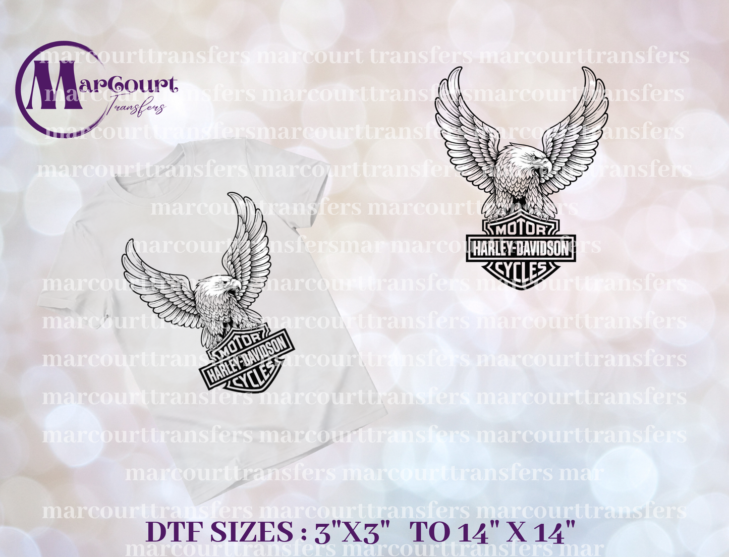 DTF-HARLEY DAVIDSON EAGLE