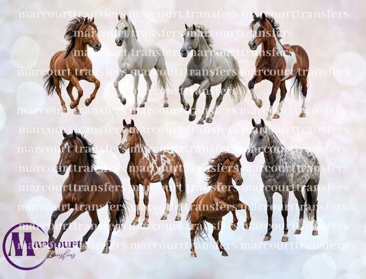 HORSES-ELEMENTS