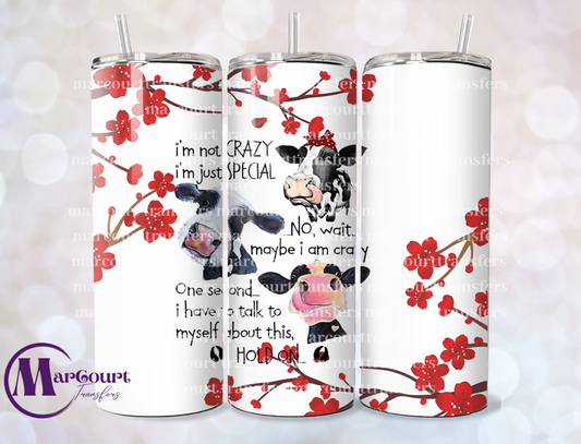 IM NOT CRAZY IM JUST SPECIAL  20-SKINNY TUMBLER TRANSFER
