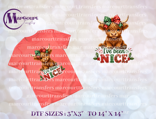DTF-I'VE BEEN NICE HIGHLAND