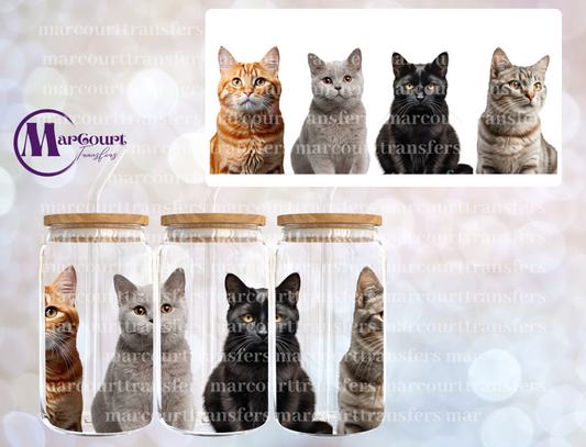 REALISTIC CATS-16 0Z-UV DTF CUP WRAP