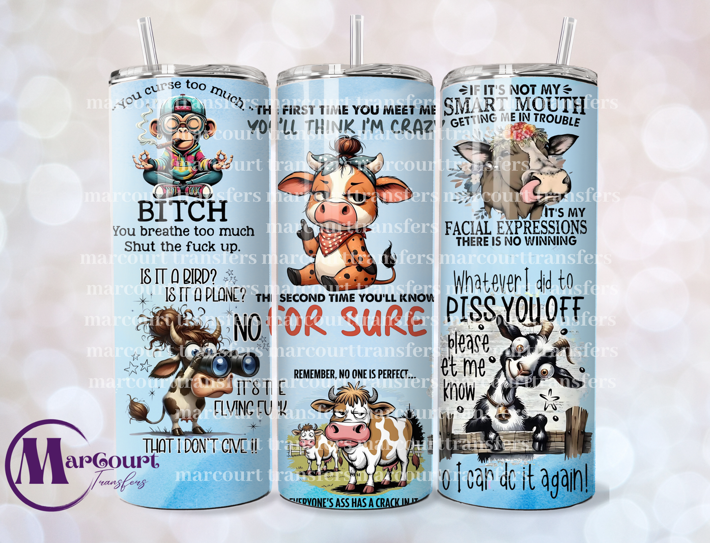 THE FIRST TIME YOU MEET ME YOULL THINK IM CRAZY 20-SKINNY TUMBLER TRANSFER