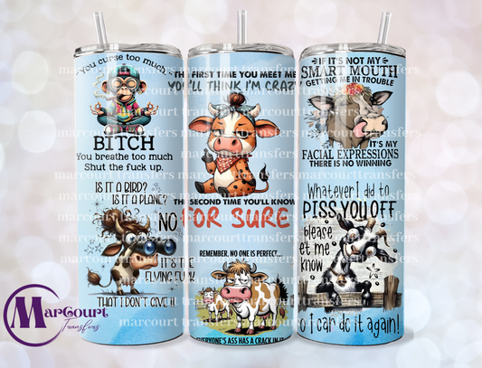 THE FIRST TIME YOU MEET ME YOULL THINK IM CRAZY 20-SKINNY TUMBLER TRANSFER