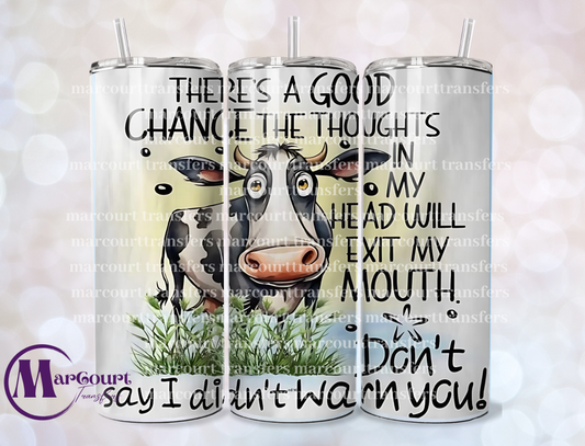 THERES A GOOD CHANCE THE THOUGHTS IN MY HEAD 20-SKINNY TUMBLER TRANSFER